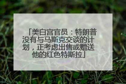 美白宫官员：特朗普没有与马斯克交谈的计划，正考虑出售或赠送他的红色特斯拉