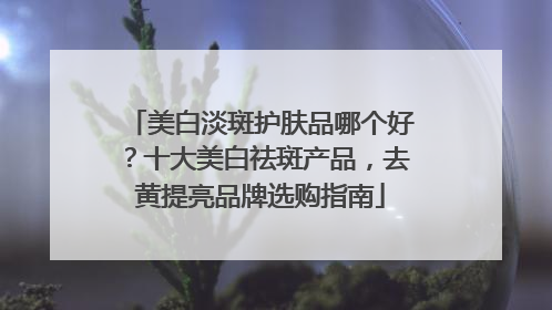 美白淡斑护肤品哪个好？十大美白祛斑产品，去黄提亮品牌选购指南