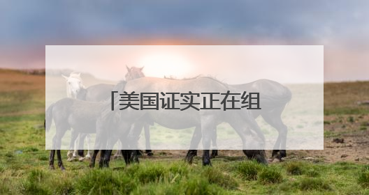 美国证实正在组建特别工作组，以监控中东局势