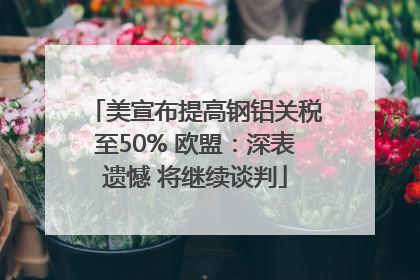 美宣布提高钢铝关税至50% 欧盟：深表遗憾 将继续谈判