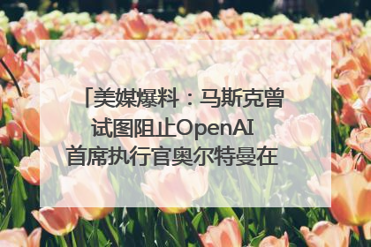 美媒爆料：马斯克曾试图阻止OpenAI首席执行官奥尔特曼在中东的AI交易