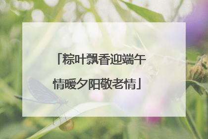 粽叶飘香迎端午 情暖夕阳敬老情