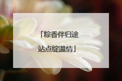 粽香伴归途 站点绽温情