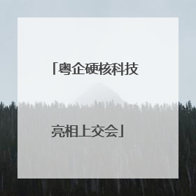 粤企硬核科技亮相上交会