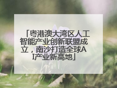 粤港澳大湾区人工智能产业创新联盟成立，南沙打造全球AI产业新高地