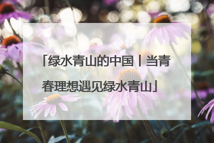 绿水青山的中国丨当青春理想遇见绿水青山