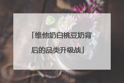 维他奶白桃豆奶背后的品类升级战