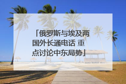 俄罗斯与埃及两国外长通电话 重点讨论中东局势