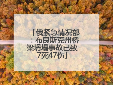 俄紧急情况部：布良斯克州桥梁坍塌事故已致7死47伤