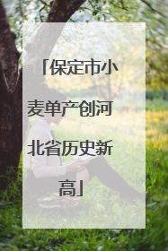 保定市小麦单产创河北省历史新高