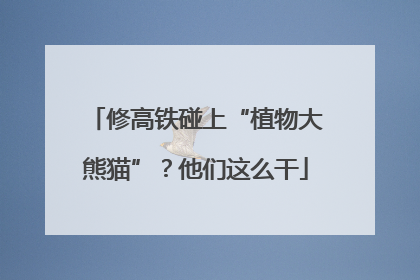 修高铁碰上“植物大熊猫”？他们这么干