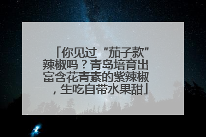 你见过“茄子款”辣椒吗？青岛培育出富含花青素的紫辣椒，生吃自带水果甜