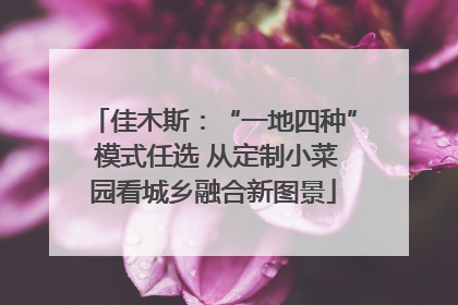 佳木斯：“一地四种” 模式任选 从定制小菜园看城乡融合新图景