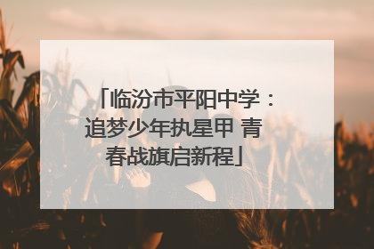 临汾市平阳中学：追梦少年执星甲 青春战旗启新程