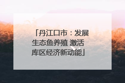 丹江口市：发展生态鱼养殖 激活库区经济新动能