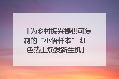 为乡村振兴提供可复制的“小悟样本” 红色热土焕发新生机