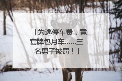 为逃停车费，竟套牌包月车……三名男子被罚！