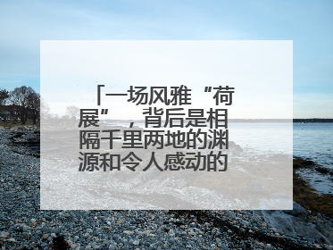 一场风雅“荷展”，背后是相隔千里两地的渊源和令人感动的历史人文情怀