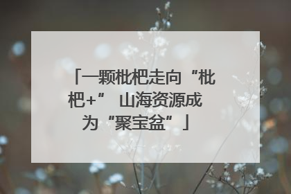 一颗枇杷走向“枇杷+” 山海资源成为“聚宝盆”