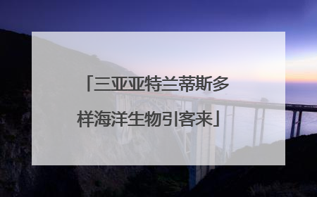 三亚亚特兰蒂斯多样海洋生物引客来