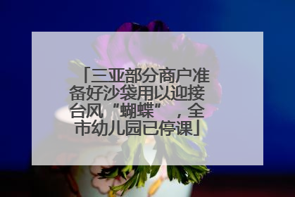 三亚部分商户准备好沙袋用以迎接台风“蝴蝶”，全市幼儿园已停课