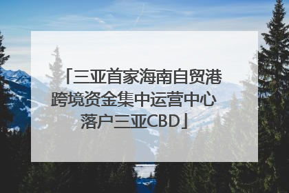 三亚首家海南自贸港跨境资金集中运营中心落户三亚CBD
