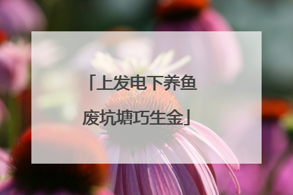 上发电下养鱼 废坑塘巧生金