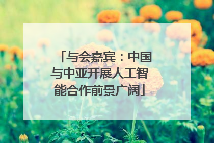 与会嘉宾：中国与中亚开展人工智能合作前景广阔