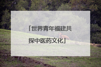 世界青年福建共探中医药文化