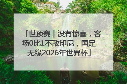 世预赛｜没有惊喜，客场0比1不敌印尼，国足无缘2026年世界杯