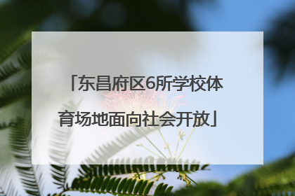 东昌府区6所学校体育场地面向社会开放