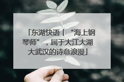 东湖快语丨“海上钢琴师”，属于大江大湖大武汉的诗意浪漫