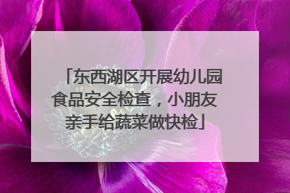 东西湖区开展幼儿园食品安全检查，小朋友亲手给蔬菜做快检