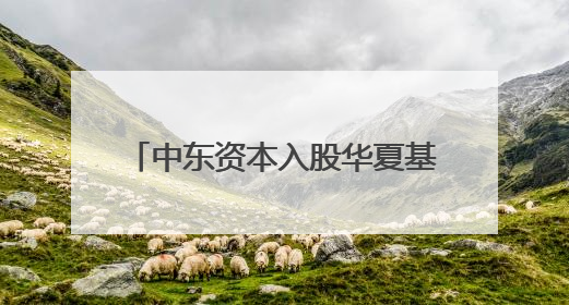 中东资本入股华夏基金落锤，中国资产的国际关注度正升温