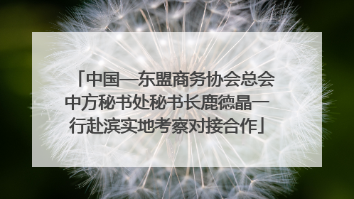 中国—东盟商务协会总会中方秘书处秘书长鹿德晶一行赴滨实地考察对接合作
