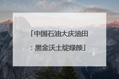 中国石油大庆油田：黑金沃土绽绿颜