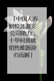 中国人寿财险涟源支公司助力，十甲村黄桃销售难题迎刃而解