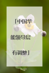 中国华能领导层有调整
