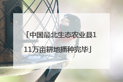 中国最北生态农业县111万亩耕地播种完毕