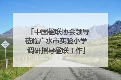 中国楹联协会领导莅临广水市实验小学调研指导楹联工作