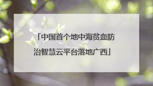 中国首个地中海贫血防治智慧云平台落地广西