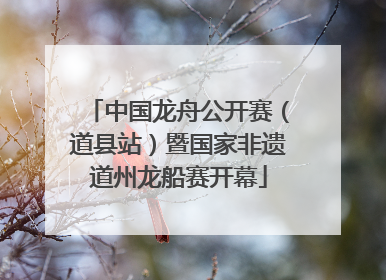 中国龙舟公开赛（道县站）暨国家非遗道州龙船赛开幕