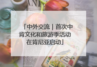 中外交流｜首次中肯文化和旅游季活动在肯尼亚启动