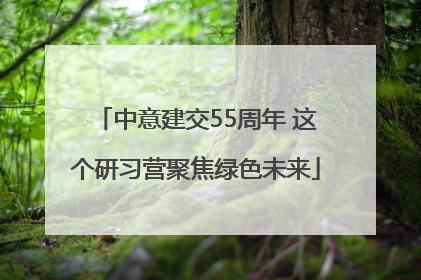 中意建交55周年 这个研习营聚焦绿色未来