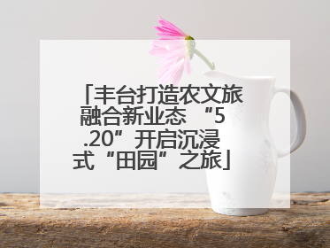 丰台打造农文旅融合新业态 “5.20”开启沉浸式“田园”之旅