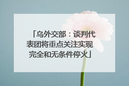 乌外交部：谈判代表团将重点关注实现完全和无条件停火