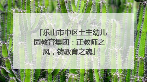 乐山市中区土主幼儿园教育集团：正教师之风，铸教育之魂