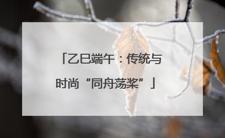 乙巳端午：传统与时尚“同舟荡桨”