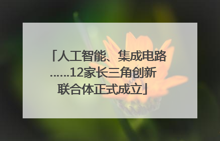 人工智能、集成电路……12家长三角创新联合体正式成立
