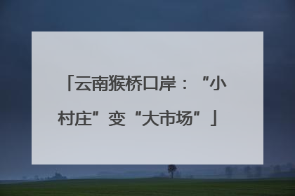 云南猴桥口岸：“小村庄”变“大市场”